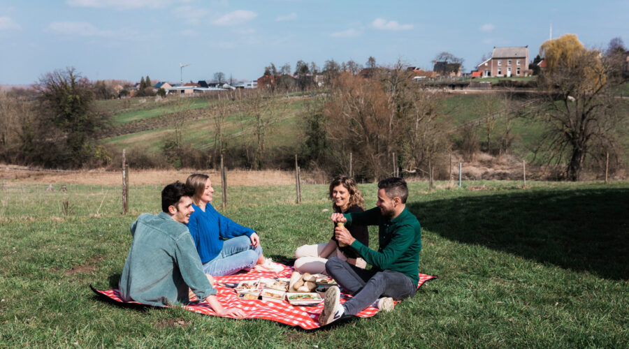 Picknicken in Limburg